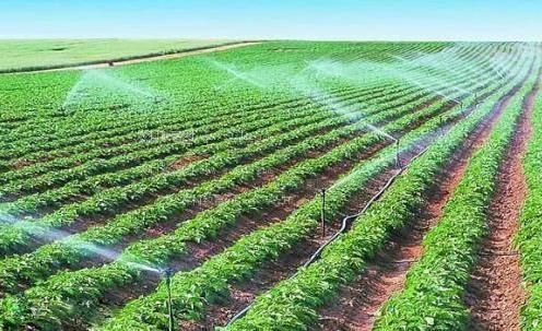 3d搞鸡软件农田高 效节水灌溉